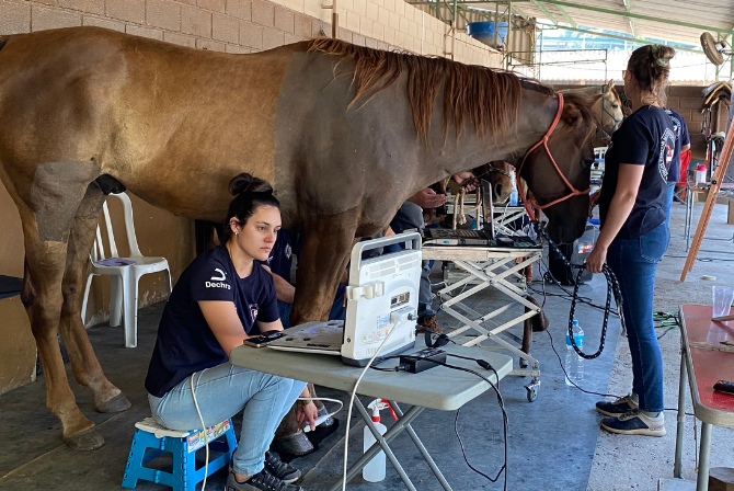 Conheça o Treinamento de Ortopedia Avançada