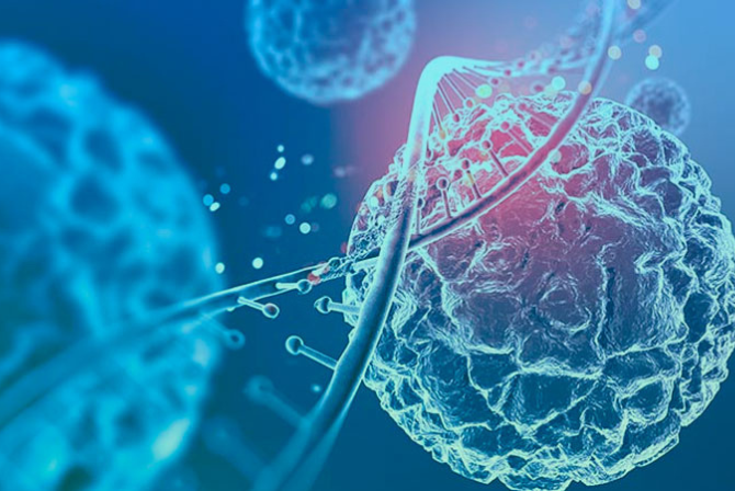 Medicina Regenerativa em Equinos: um novo horizonte para a ortopedia e a performance.