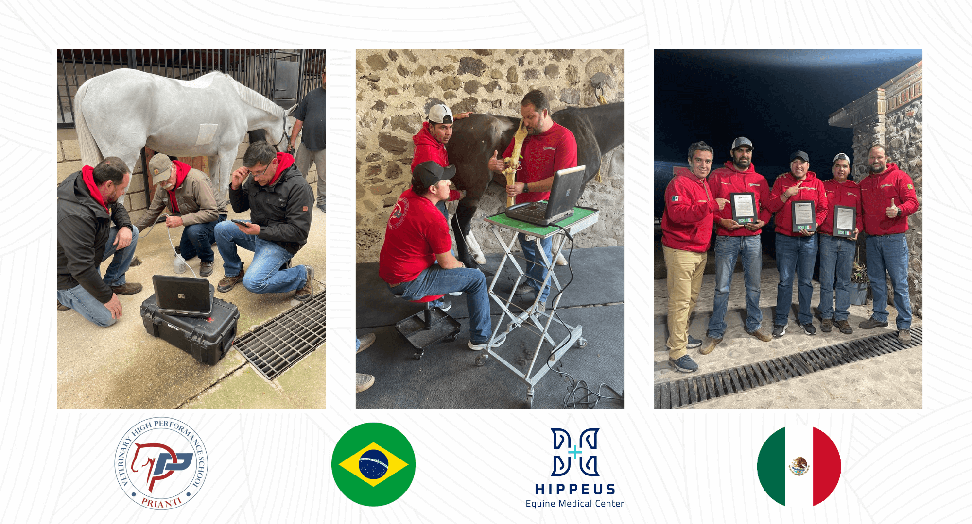 Treinamento High Performance Veterinary School no México.