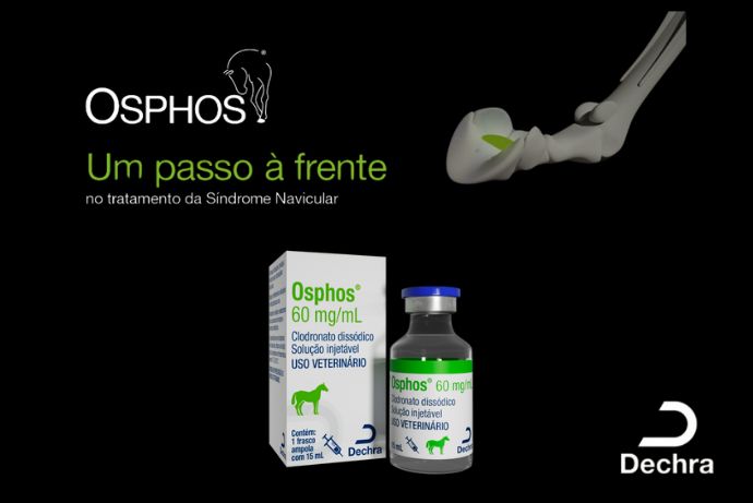 Dechra Brasil lança Osphos® para tratamento da Síndrome Navicular em cavalos