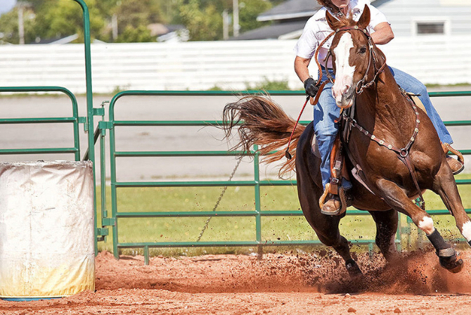Lesões Mais Comuns em Cavalos de Prova de Tambor: Cuidado e Prevenção