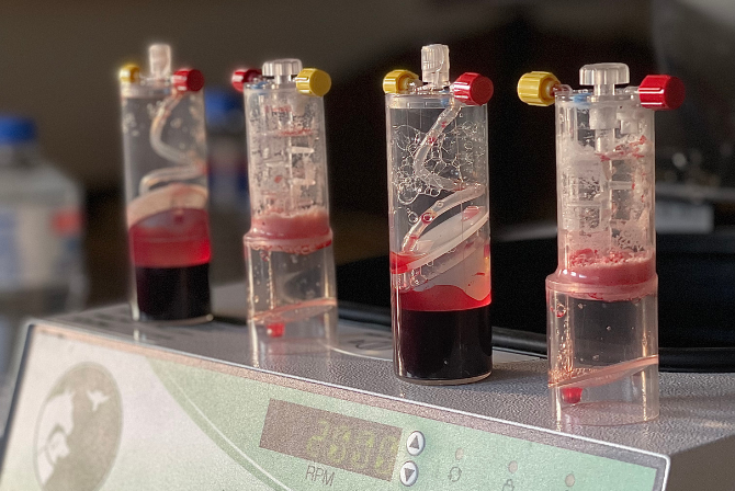 Terapia Articular Regenerativa com PRÓ-STRIDE