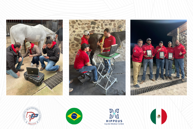 Treinamento High Performance Veterinary School no México.