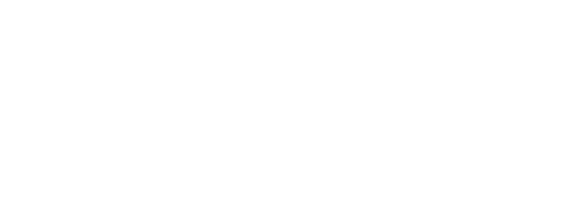 Clínica de Equinos Prianti