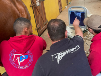 High Performance Veterinary School - Students