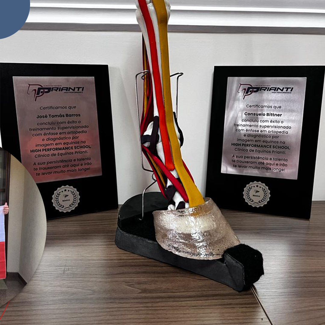 Clínica de Equinos Prianti