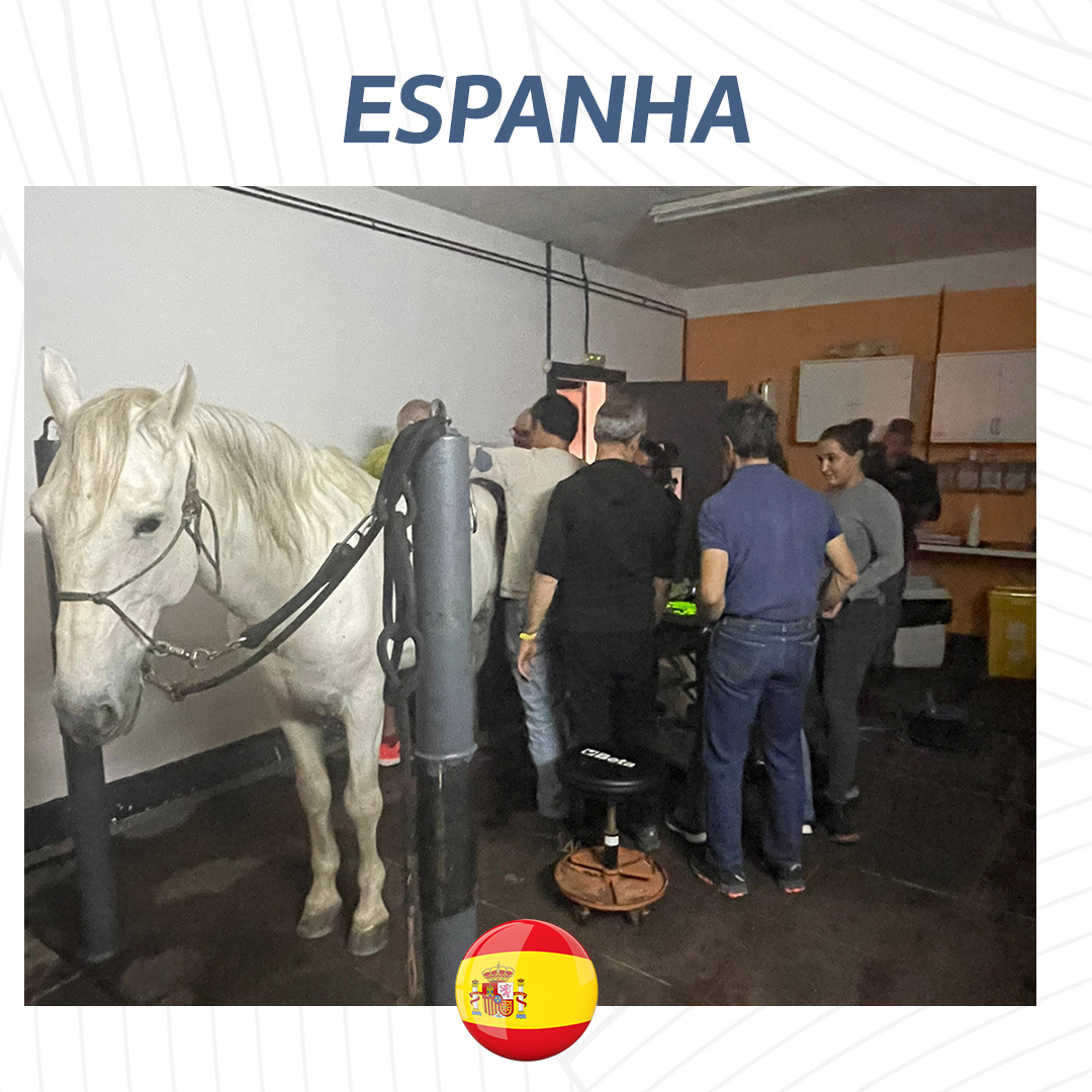 Clínica de Equinos Prianti