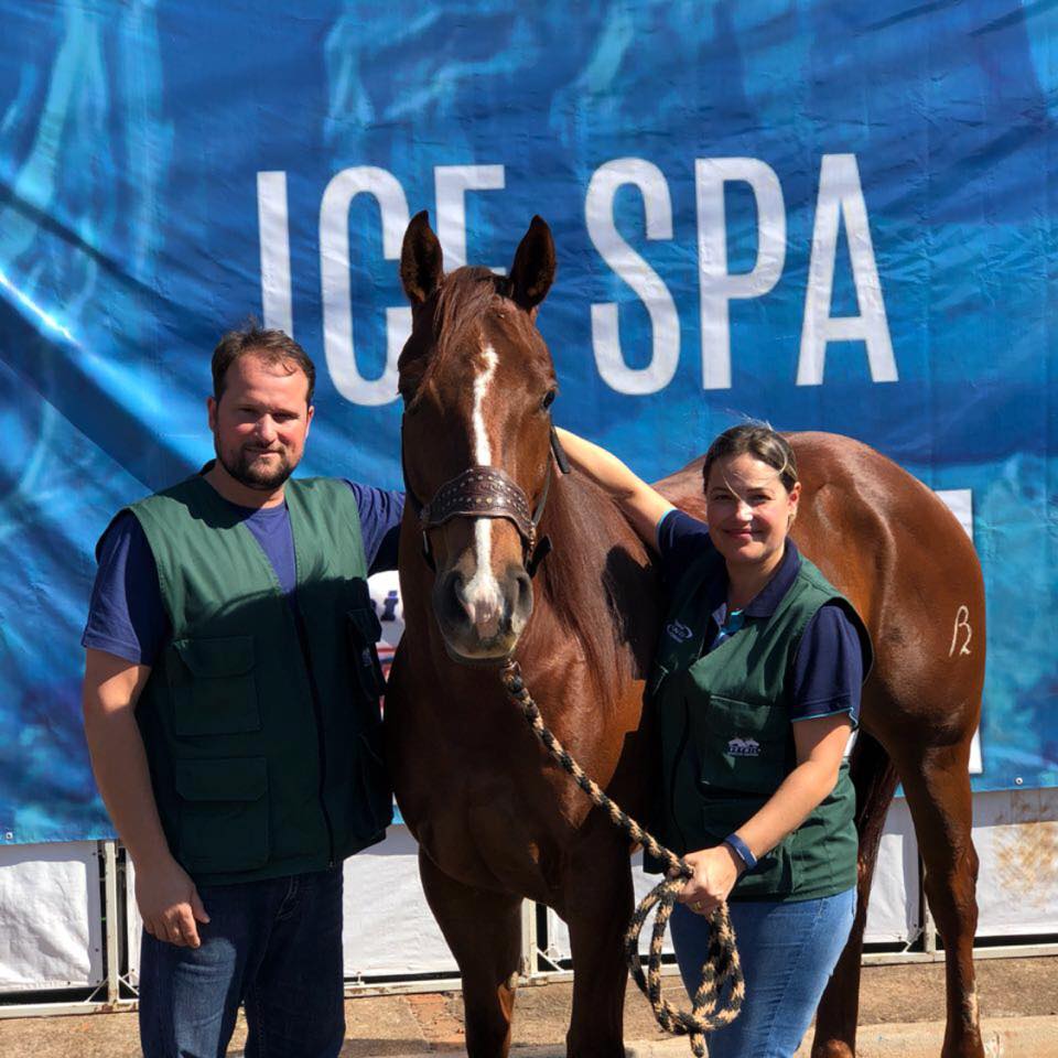 Clínica de Equinos Prianti