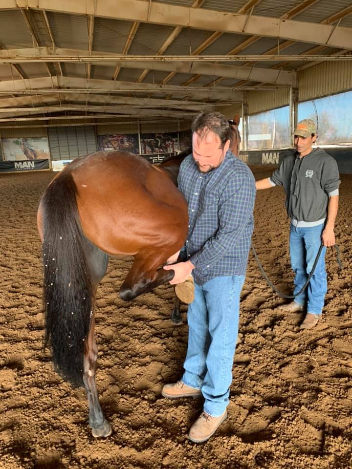 Clínica de Equinos Prianti