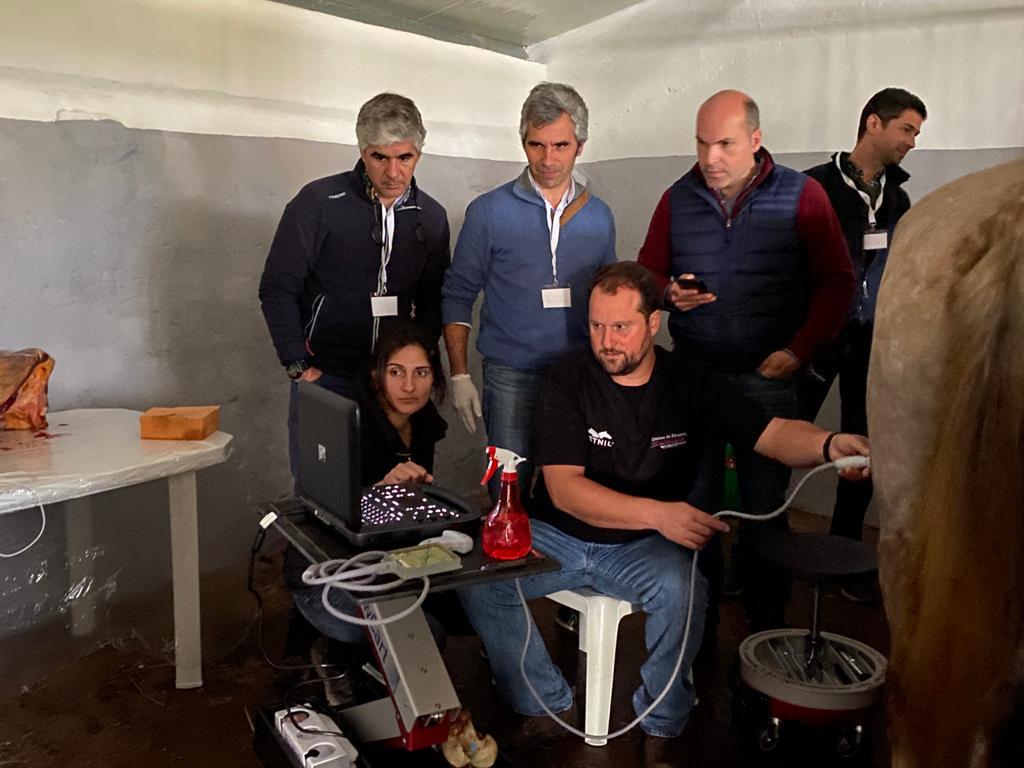 Clínica de Equinos Prianti