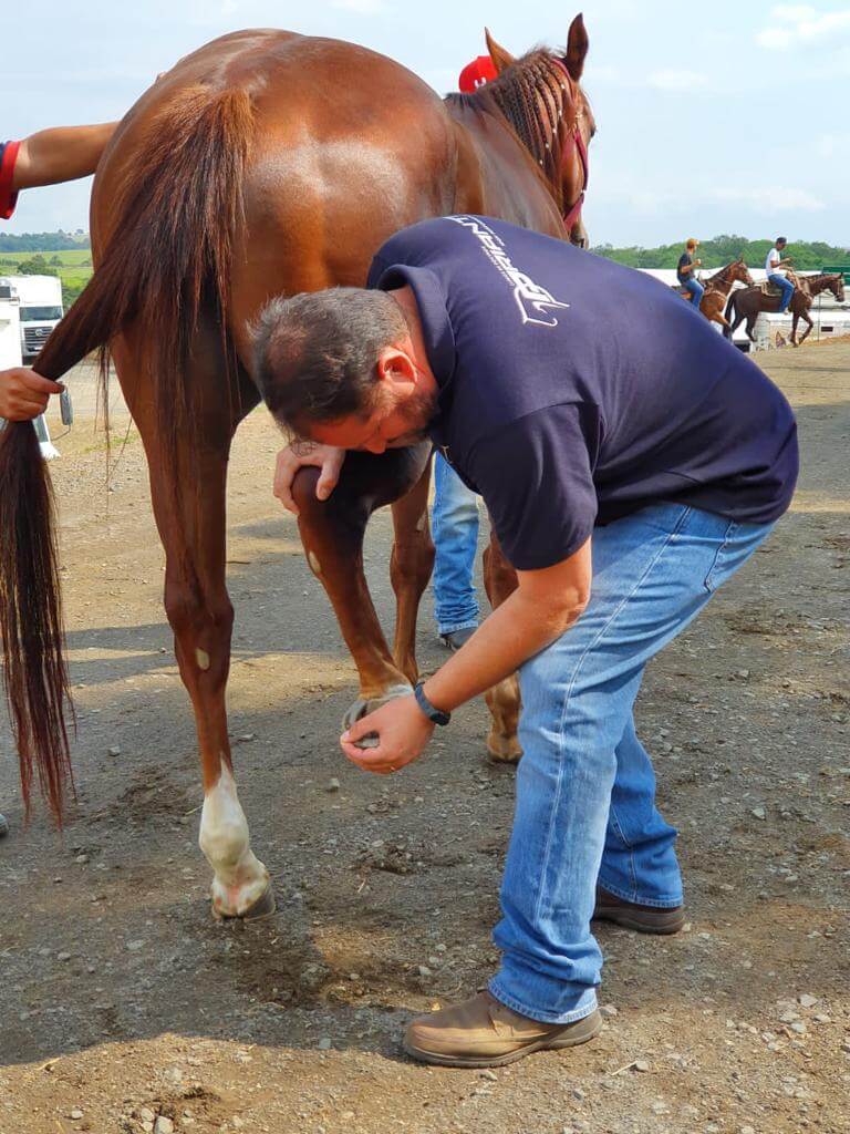 Clínica de Equinos Prianti