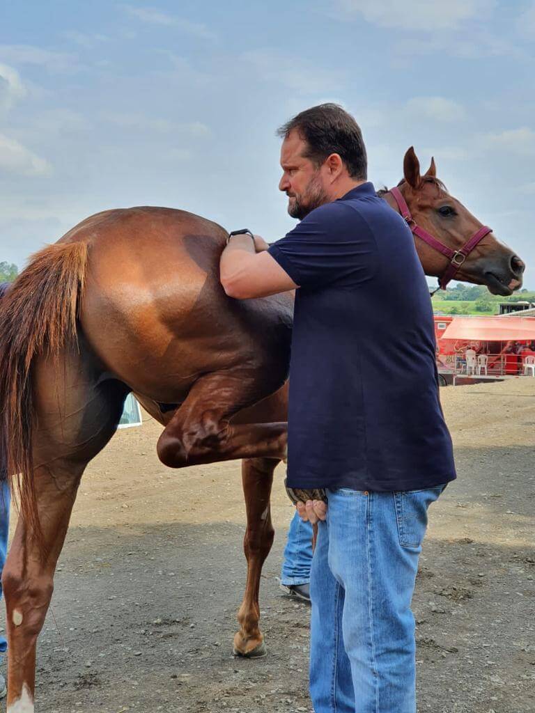 Clínica de Equinos Prianti