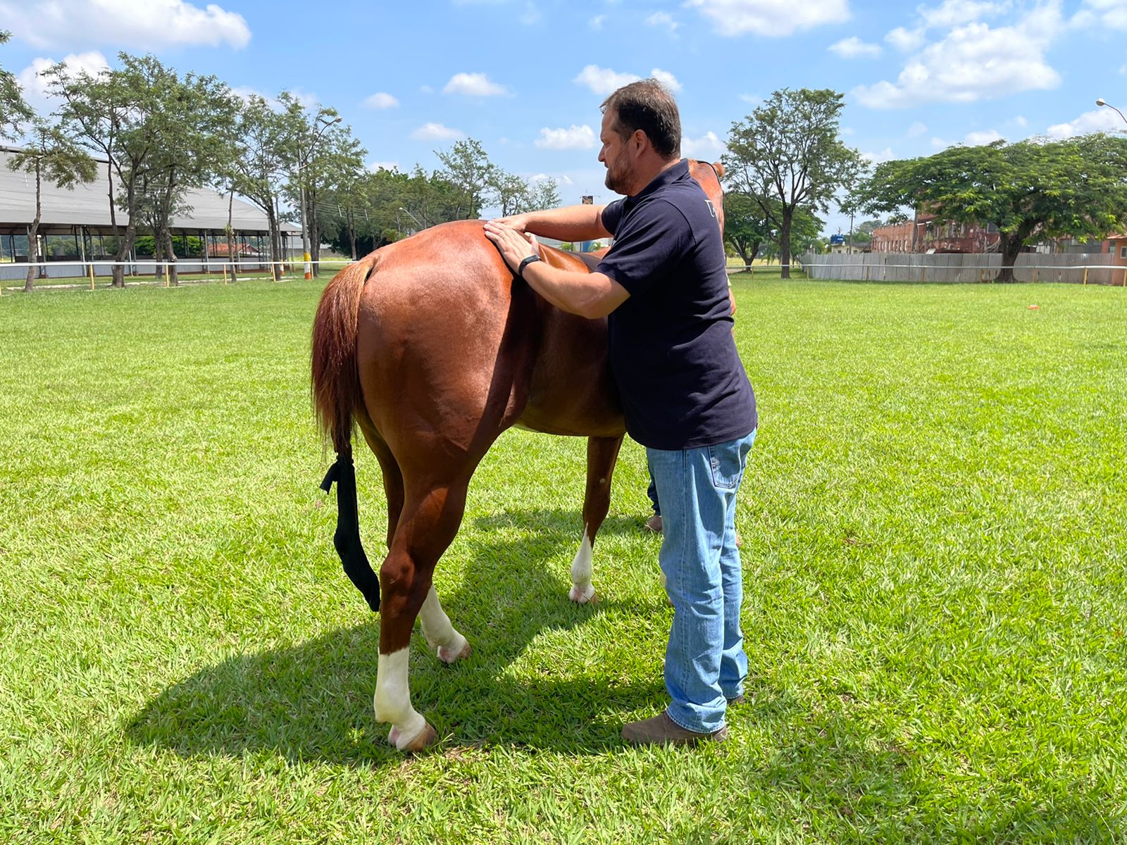 Clínica de Equinos Prianti