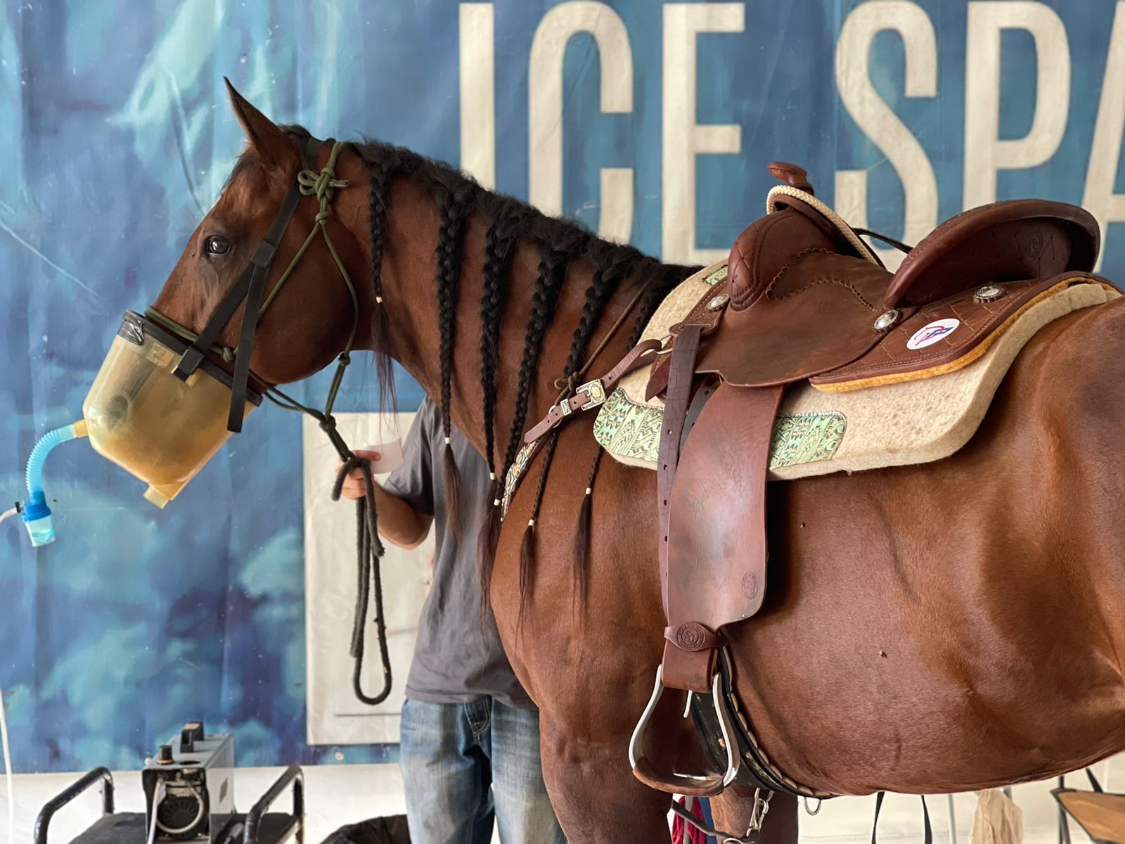 Clínica de Equinos Prianti