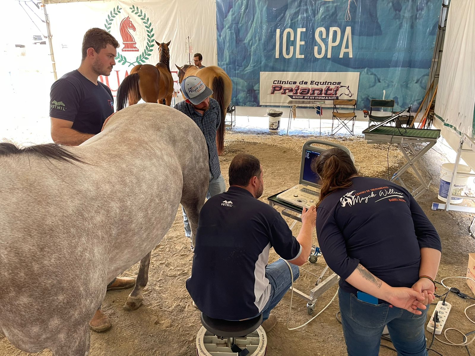 Clínica de Equinos Prianti