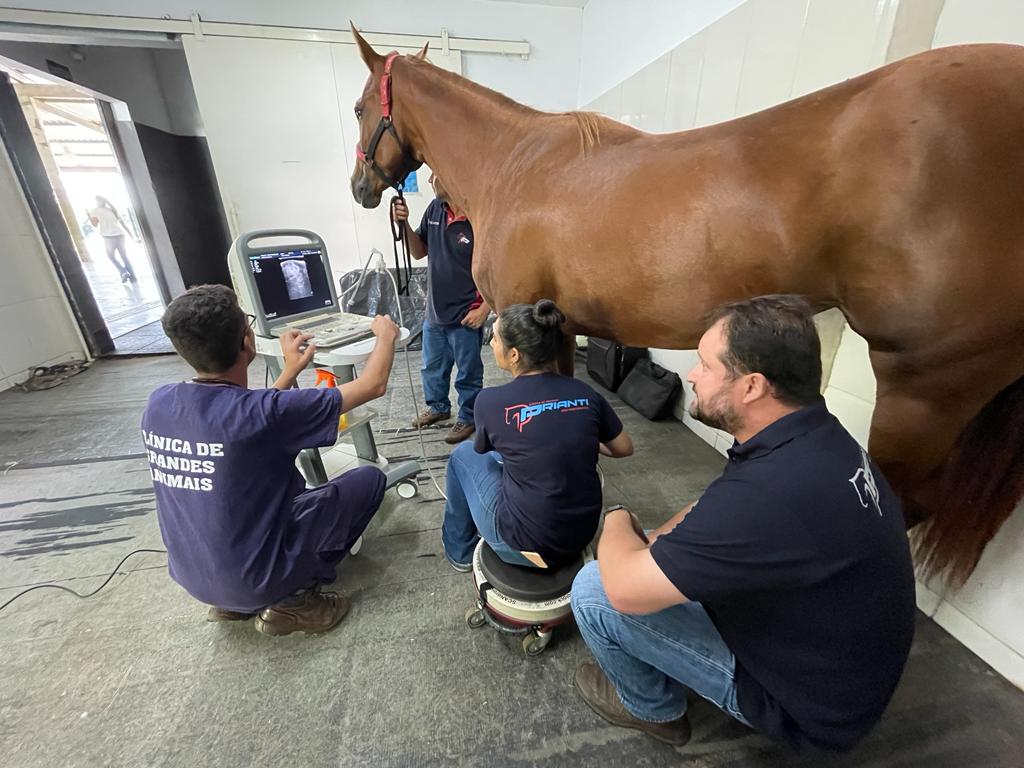 Clínica de Equinos Prianti