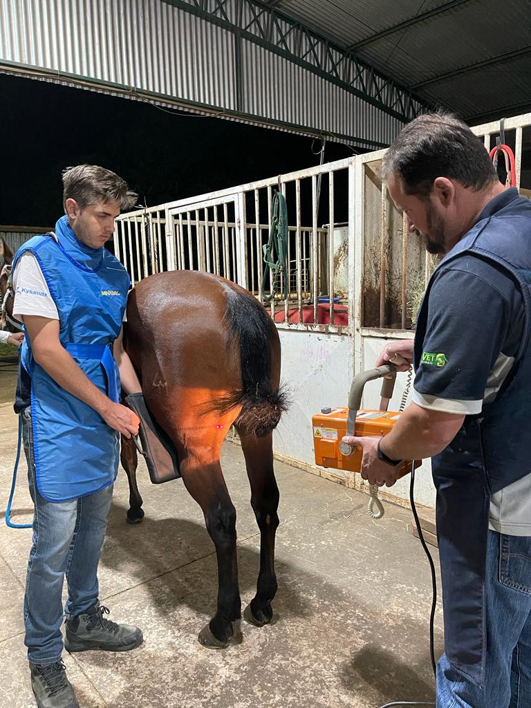 Clínica de Equinos Prianti