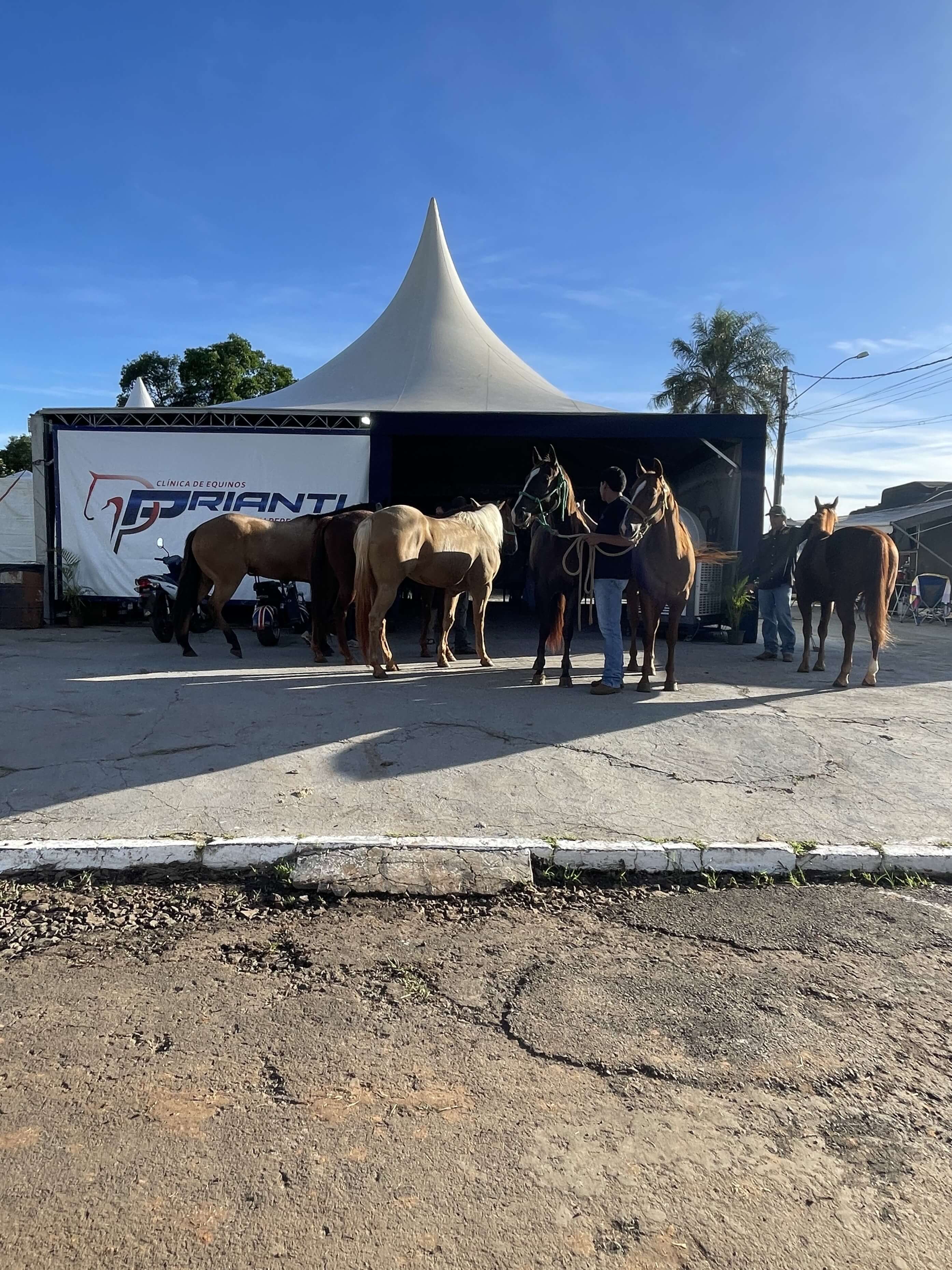Presentes nas maiores provas equestres do Brasil