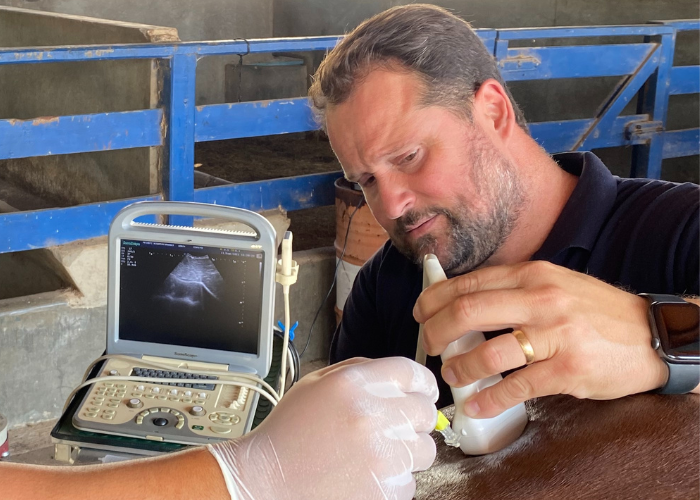 Diagnóstico por imagem